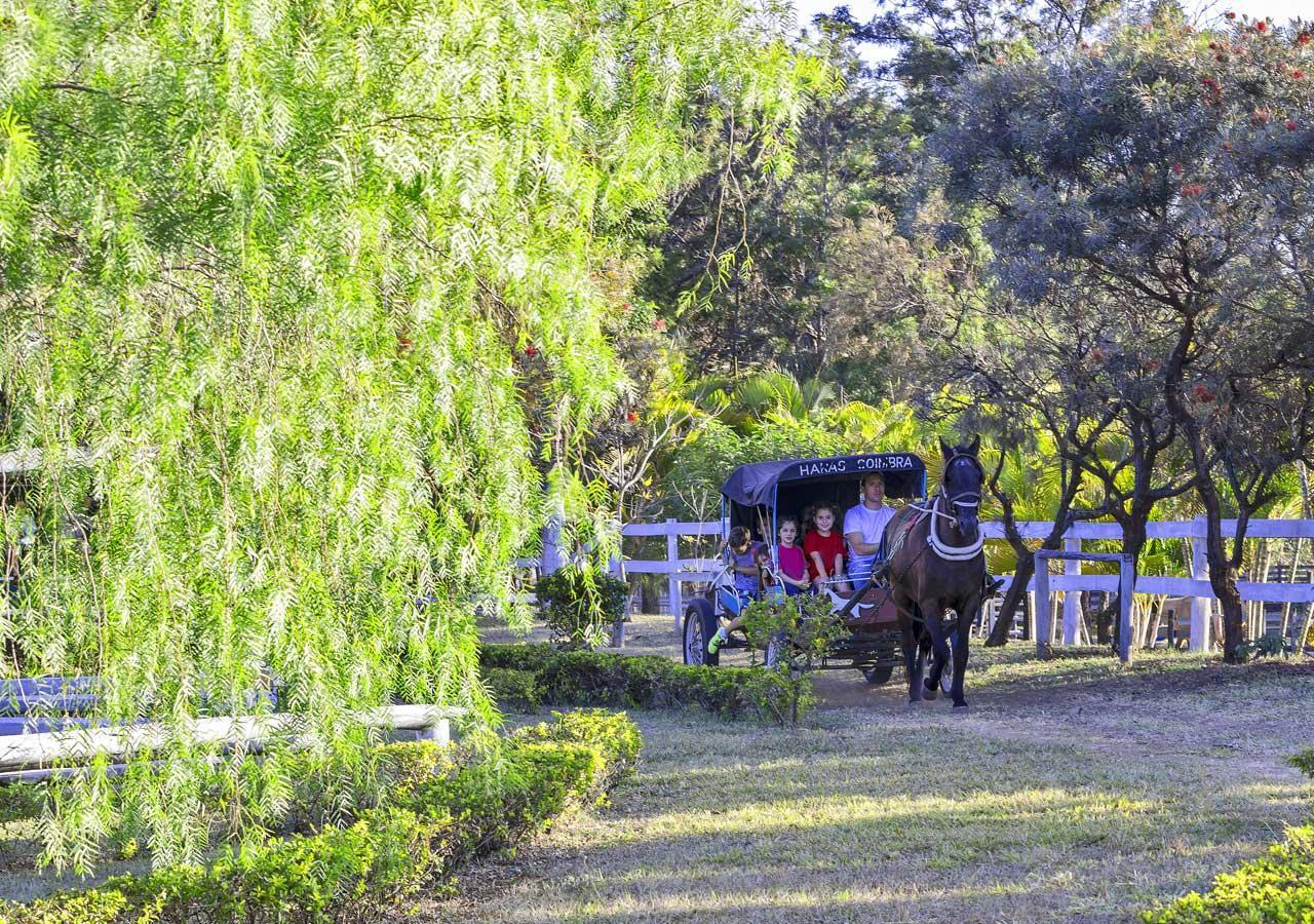 Brotas Eco Hotel Fazenda Bagian luar foto